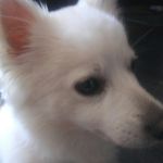 Profile Picture of Lennon (@jaredruizosiris634) on Instagram