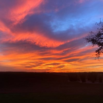 Profile Picture of KL (@LiKarlli) on Twitter