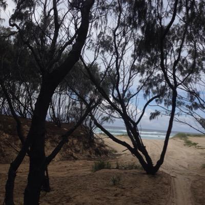 Profile Picture of Wayne Mackey (@waynemackey3) on Twitter