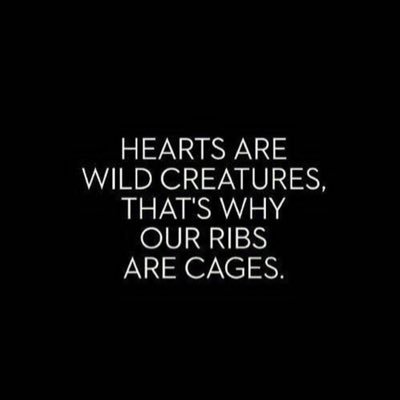 Profile Picture of Isabella Maffeo (@CoftyCococat17) on Twitter