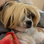 Jiggly joe - Instagram Profile Picture of Jiggly joe (@20bustedcansofbouncedatass) on Instagram