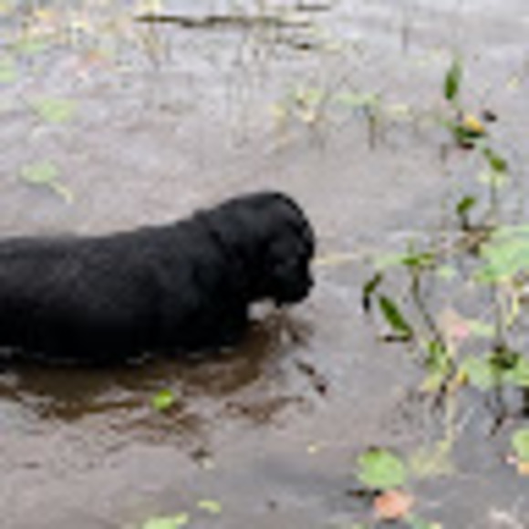 Profile Picture of Amelia Wuerch (@awuerch07) on Poshmark