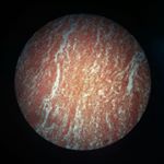 Profile Picture of Alice Aranda (@dominique_grez23) on Instagram