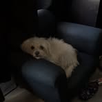 Profile Picture of Blake Mcintyre (@Blake-Mcintyre) on Facebook