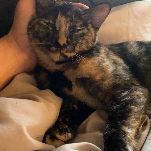 Profile Picture of Brian Fay (@brianfay) on Poshmark