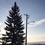 Profile Picture of Brendan Mccune (@b.m.photo) on Instagram