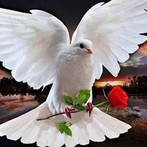 Kauphy Bernous - Twitter Profile Picture of Kauphy Bernous (@BernousKauphy) on Twitter