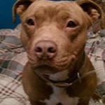 Profile Picture of Aaron Valenta (@aaronvalenta) on Instagram