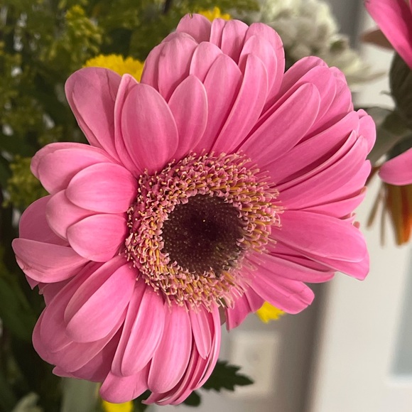 Profile Picture of Magda Grendell (@mkg581) on Poshmark