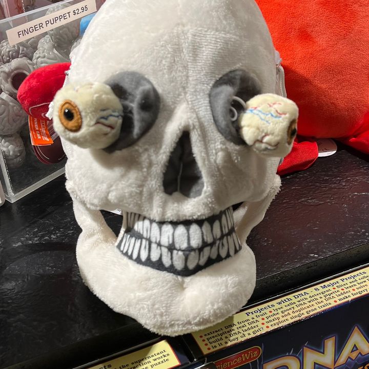 Profile Picture of Adam’s Purse (@adams_purse) on Tiktok