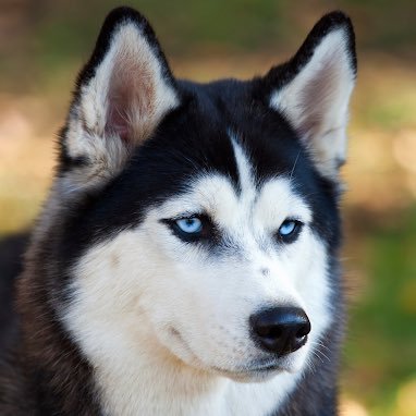 Profile Picture of Keith M. Burkholder (@KeithBurkholder) on Twitter