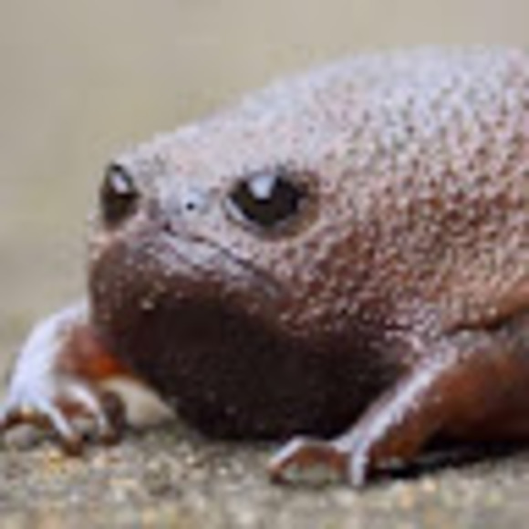 Profile Picture of Big Dubbs (@wes2479) on Poshmark