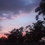 Profile Picture of Patricia Alberts (@patricia_albert10) on Instagram