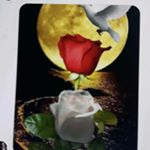 Profile Picture of AlexaBona (@alexabona4) on Instagram