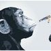 Profile Picture of John Steve Valverde Verdezoto (@johnstevev) on Pinterest