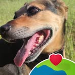 Bernadette Teixeira - Facebook Profile Picture of Bernadette Teixeira (@Bernadette-Teixeira) on Facebook