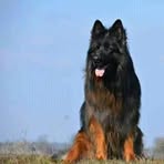 Profile Picture of Jeffrey Tucker (@Jeffrey-Tucker) on Facebook