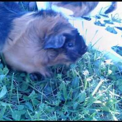 Profile Picture of Michaela King (@Mikelah) on Twitter