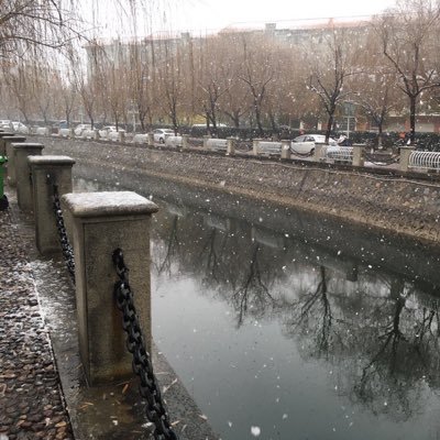 Profile Picture of ChenLiu (@ChenLiu18468041) on Twitter