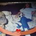 Profile Picture of Jeffrey Brenning (@jeffrey.brenning.3) on Facebook