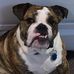 Profile Picture of Jason Cartwright (@jason.cartwright.90281) on Facebook