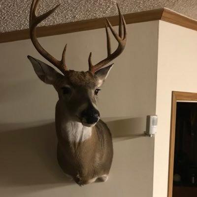 Profile Picture of HunterOglesby (@HunterOglesby5) on Twitter