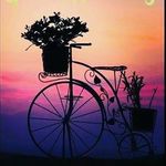 Profile Picture of Virinder Grewal (@grewal_vir) on Instagram