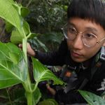 Profile Picture of 劉秉昇 Liu,Ping-Sheng (@tw.sheng) on Instagram