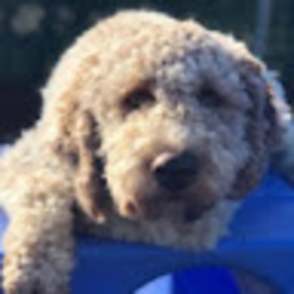 Profile Picture of Lesa Milas (@milnat) on Poshmark