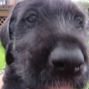 Profile Picture of George Maxwell (robloxmania) (@georgemaxwell1035) on Youtube