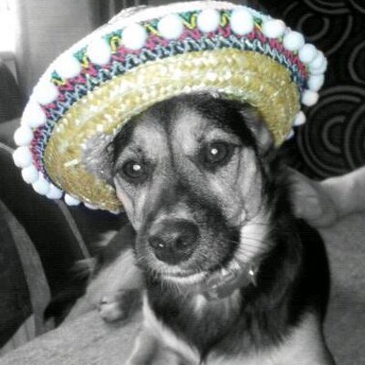 Profile Picture of Becky Downs (@becca_downs_) on Twitter