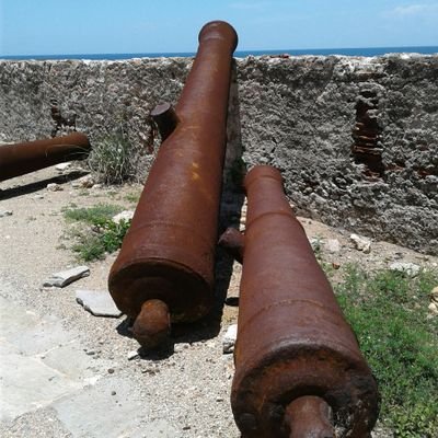 Profile Picture of David ANTOINE (@DavidAN34438018) on Twitter