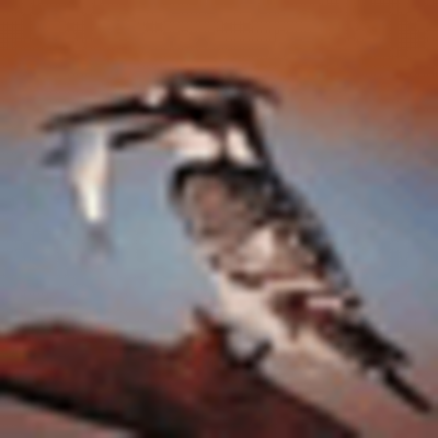 Profile Picture of Isaac Bush (@prescottsi) on Twitter