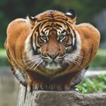 Profile Picture of Edwin Barker (@god_low) on Instagram