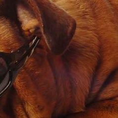 Profile Picture of Raymond Wagner (@raymond.wagner.940) on Facebook