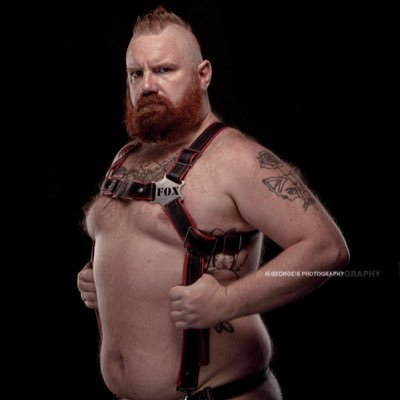 Profile Picture of Daddy Fox (@ginger_fox) on Twitter