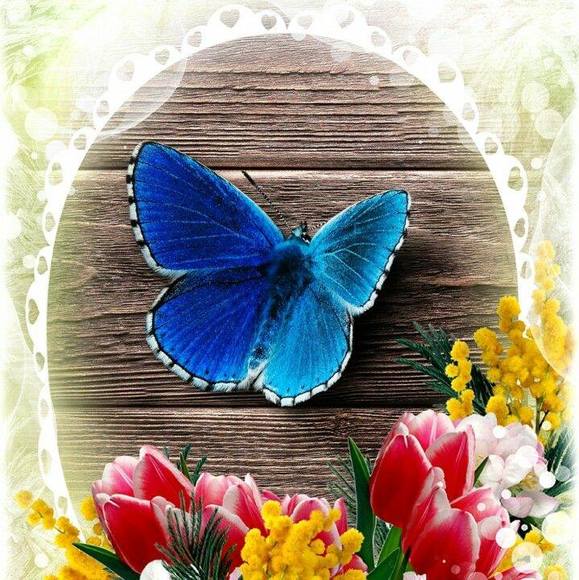 Profile Picture of Monica Andrews (@monica_andrews) on Poshmark