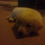 Max Carter - Instagram Profile Picture of Max Carter (@m_a_x_i_e_23) on Instagram