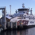 Profile Picture of Roy Lim (@royallim25) on Instagram