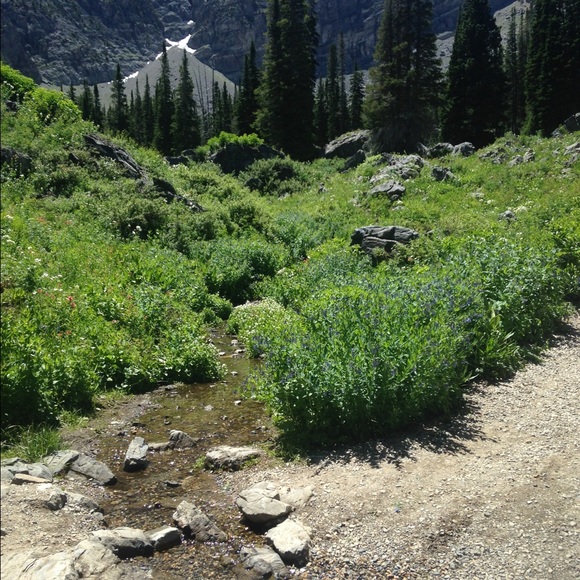 Profile Picture of Melanie Kulikov (@melanieklkv) on Poshmark