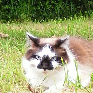 Profile Picture of Daniel Allaire (@daniel.allaire.980) on Facebook