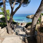 Profile Picture of Domme Jongens (@malla_2020) on Instagram