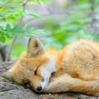 Profile Picture of Kassandra Anderson (@kassandra-anderson-15) on Quora