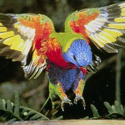 Profile Picture of VU  NGOC  THACH (@ngocthach668) on Twitter