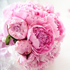 Profile Picture of Kathrin & Martin Michels (@Hochzeit 04.05.2013) on Flickr