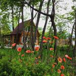 Profile Picture of کلبه جنگلی-ساحلی سورنا (@kolbe.surena) on Instagram