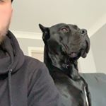 Profile Picture of Sean Trask (@seantrask133) on Instagram