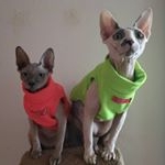 Profile Picture of rayco y Cleo (@raycoycleo) on Instagram