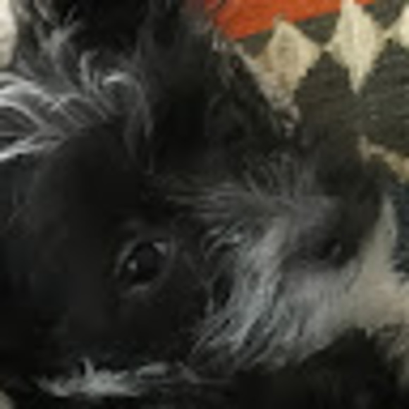 Profile Picture of Blake Rosen (@blakerosen100) on Poshmark