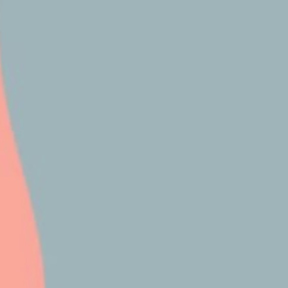 Profile Picture of Alexa Araque (@alexaa28a) on Poshmark